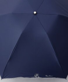 AURORA NINA RICCI （ニナリッチ)  リボン＆ネモフィラ風 刺しゅう晴雨兼用パラソル（クイックオープン折り畳み・ミニ傘）