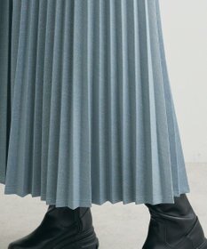 Green Parks ・Ｐｅｔｉｔ　Ｆｌｅｕｒ　ラメプリーツスカート