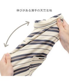 PET PARADISE ペットパラダイス  ペティヒー ト Tシャツ 《マルチボーダー 》中型犬 大型犬