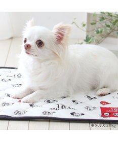 PET PARADISE ディズニー 101匹わんちゃん クール マット 小型犬 48×40㎝