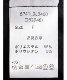 Green Parks ・ＥＬＥＮＣＡＲＥ　ＤＵＥ　メタリックプリーツスカート