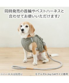 PET PARADISE ペットパラダイス ロープ リード グレー　M～Ｌ