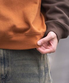 WEGO ラグランプルパーカー