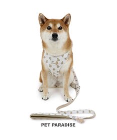 PET PARADISE ペットパラダイス くまちゃん スリム ハーネス＆リード 中型犬 SM