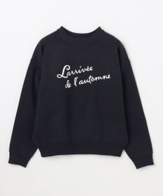 ANY 刺繍ロゴニット