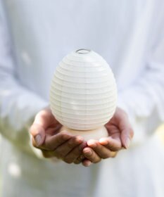 ちょうちん堂 【豆cocolan Muji】豆たまご ちょうちん ライト