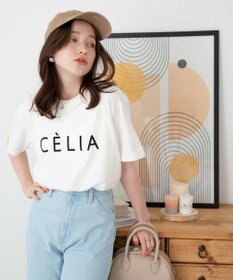 WEGO 【新色追加/手洗い可/綿100%/MLXLサイズ】クルーネックプリントTシャツ