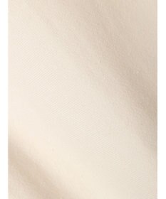 AMERICAN HOLIC ネップ裏毛ロゴスウェット