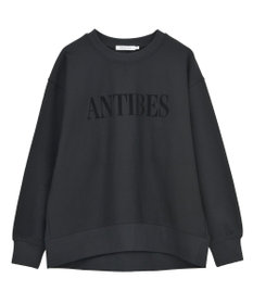 AMERICAN HOLIC Fairfield フロッキースウェットプルオーバー