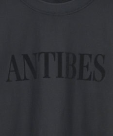 AMERICAN HOLIC Fairfield フロッキースウェットプルオーバー