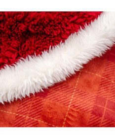 PET PARADISE ペットパラダイス サンタ ポンチョ 2025 小型犬