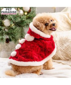 PET PARADISE ペットパラダイス サンタ ポンチョ 2025 小型犬