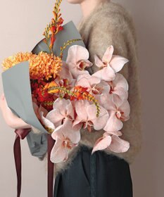 自由区 S 【カタログ掲載・Premium Collection】ファーカシミヤ ニット