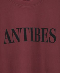 AMERICAN HOLIC Fairfield フロッキースウェットプルオーバー