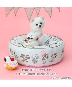 PET PARADISE 【限定250個】スヌーピー 限定 バースデー クッション