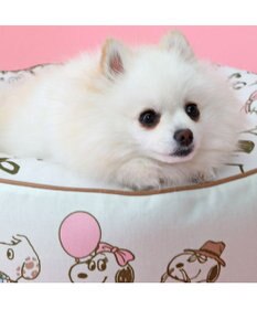PET PARADISE 【限定250個】スヌーピー 限定 バースデー クッション