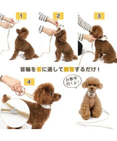 PET PARADISE ペットパラダイス リード付き首輪 《くまちゃん》 小型犬
