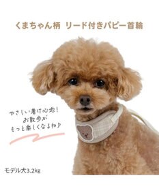 PET PARADISE ペットパラダイス リード付き首輪 《くまちゃん》 小型犬