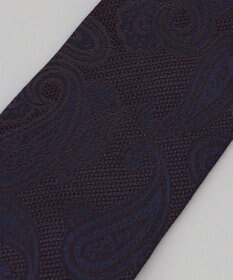 GOTAIRIKU Fermo Fossati_ペイズリー