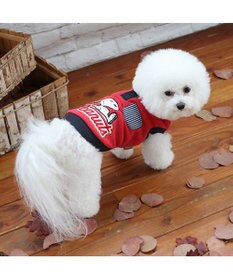 PET PARADISE スヌーピー ワンダフルストレッチ トレーナー 《寝転び》 小型犬