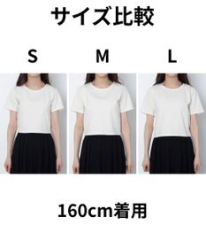 WEGO 【7色/SMLサイズ展開】コンパクトフィットT