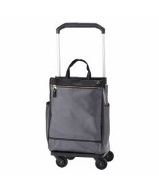 ACE BAGS & LUGGAGE soelte カランド2 お買い物キャリー ショッピングカート 24L 35985 ソエルテ