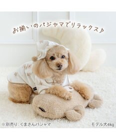 PET PARADISE ペットパラダイス くまさん ふわふわピロー