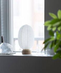 ちょうちん堂 【cocolan Muji】恐竜 ちょうちん ライト