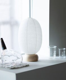 ちょうちん堂 【cocolan Muji】恐竜 ちょうちん ライト