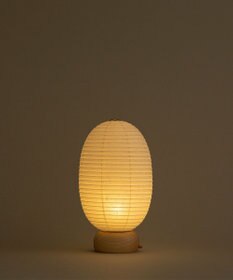 ちょうちん堂 【cocolan Muji】恐竜 ちょうちん ライト