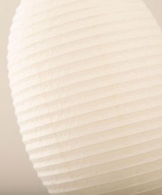 ちょうちん堂 【cocolan Muji】恐竜 ちょうちん ライト