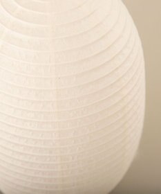 ちょうちん堂 【cocolan Muji】恐竜 ちょうちん ライト