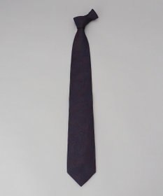 GOTAIRIKU Fermo Fossati_ペイズリー