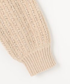 ANY レーシーモールニット