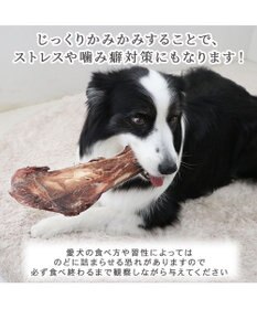 PET PARADISE 鹿 肩甲骨 デンタルおやつ Lサイズ×1本 純国産