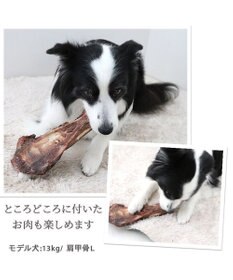 PET PARADISE 鹿 肩甲骨 デンタルおやつ Lサイズ×1本 純国産
