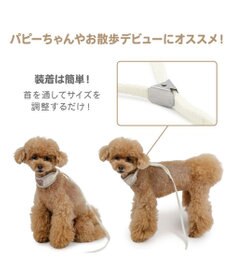 PET PARADISE ペットパラダイス リード付き首輪 《くまちゃん》 小型犬