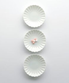 たち吉 【たち吉】白菊　小皿〈5枚〉 美濃焼