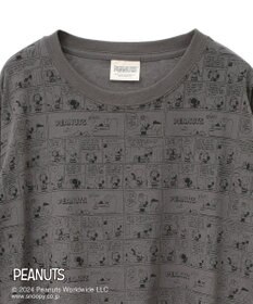 Green Parks ■ＰＥＡＮＵＴＳ　コミックロンＴ