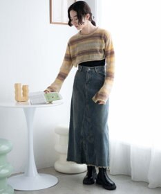 WEGO 段染めボーダーショートニット