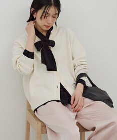 AMERICAN HOLIC 【イージーケア】ナロータイブラウス