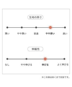 PET PARADISE ディズニー  ミニーマウス  アンティーク柄ロンパース 【小型犬】