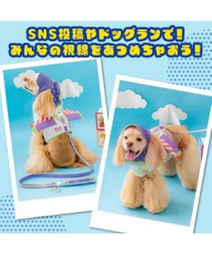 PET PARADISE ディズニー トイ・ストーリー バズ 保冷付き帽子 ＳＭ 中型犬