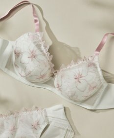 une nana cool 小さく見せるブラ　ミニマイザーブラ　レース