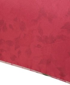 MOONBAT ミラショーン (mila schon) 折りたたみ傘 内側花プリント