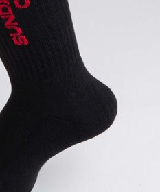 WEGO ロゴデザインソックス（R）