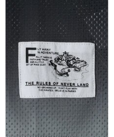 AMERICAN HOLIC ゲームシャツ／Ｐｅｔｅｒ　Ｐａｎ