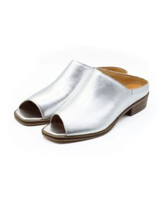 APOM カバーミュール30