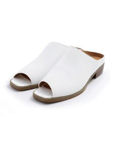 APOM カバーミュール30