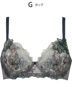 Wing ブラジャー Wing Lesiage サイドすっきり しっかりフィット 【2900シリーズ】 ブラ PB2900 ウイング／ワコール